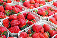 Erdbeeren aus Italien